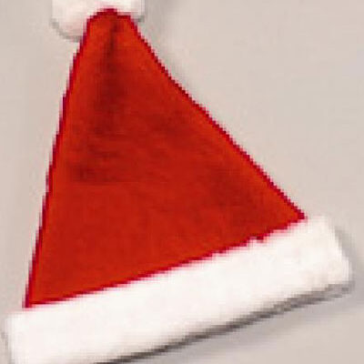 Red Plush Santa Hat