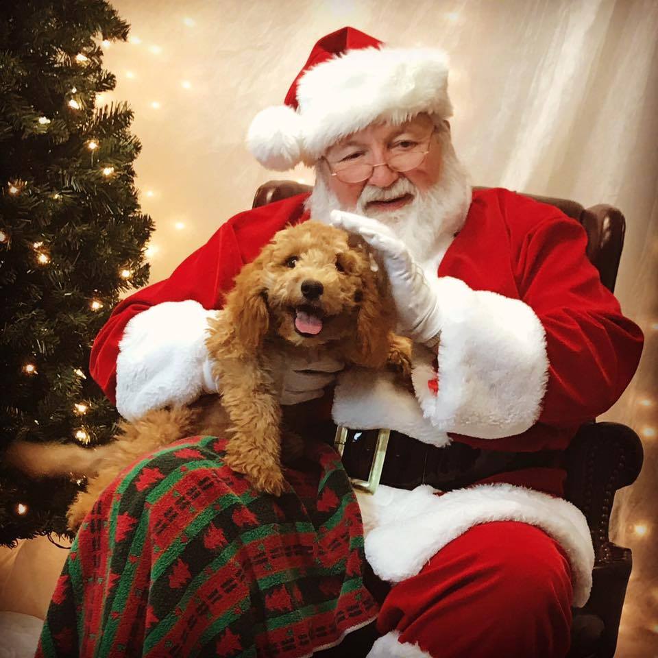 Memphis real beard Santa